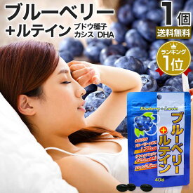 ブルーベリー＋ルテイン 40球 約20〜40日分 送料無料 メール便 | ルテイン ビルベリー ブルーベリー アントシアニン カシス グレープシード エキス DHA サプリメントdha オメガ3 オメガ3脂肪酸 omega3 オメガ3オイル サプリ サプリメント 粒 タブレット 男性 女性