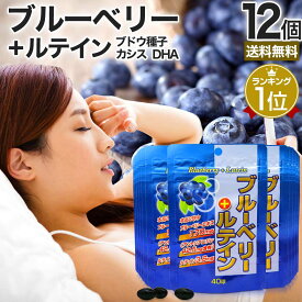 ブルーベリー＋ルテイン 40球×12個セット 約240〜480日分 送料無料 宅配便 | ルテイン ビルベリー ブルーベリー アントシアニン カシス グレープシード エキス DHA オメガ3 オメガ3脂肪酸 omega3 オメガ3オイル サプリ サプリメント 粒 タブレット 男性 女性 まとめ買い