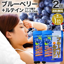 ブルーベリー＋ルテイン 40球×2個セット 約40〜80日分 送料無料 メール便 | ルテイン ビルベリー ブルーベリー アントシアニン カシス グレープシード エキス DHA オメガ3 オメガ3脂肪酸 omega3 オメガ3オイル サプリ サプリメント 粒 タブレット 男性 女性 まとめ買い