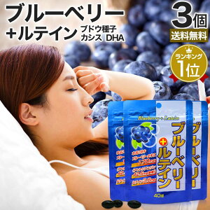 �u���[�x���[�{���e�C�� 40��×3�Z�b�g ��60�`120���� �������� ���[���� | ���e�C�� �r���x���[ �u���[�x���[ �A���g�V�A�j�� �J�V�X �O���[�v�V�[�h �G�L�X DHA �I���K3 �I���K3���b�_ omega3 
