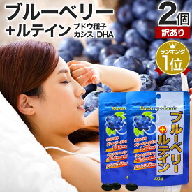 【訳あり】 ブルーベリー＋ルテイン 40球×2個セット 約40〜80日分 賞味期限2026年7月以降 送料無料 メール便 | ルテイン ビルベリー ブルーベリー アントシアニン カシス エキス DHA オメガ3 omega3 サプリ サプリメント 粒 男性 女性 アウトレット まとめ買い