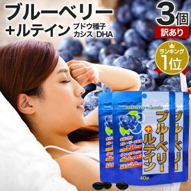 【訳あり】 ブルーベリー＋ルテイン 40球×3個セット 約60〜120日分 賞味期限2026年2月のみ 送料無料 メール便 | ルテイン ビルベリー ブルーベリー アントシアニン カシス エキス DHA オメガ3 omega3 サプリ サプリメント 粒 男性 女性 アウトレット まとめ買い