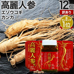 y󂠂z lQ 120 24`30 ܖ2026N3ȍ~  z | lQ lQTv ɂ񂶂 lQGLX NlQ I^ljW G]ERM ERM VxA