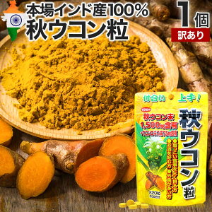 【訳あり】 秋ウコン粒 220粒 約22〜30日分 賞味期限2026年2月以降 送料無料 メール便 | ウコン うこん 粒訳あり 秋ウコン ウコン粒 ウコンエキス末 ウコンサプリ ウコンサプリメント クルクミ