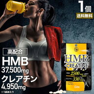 HMB+クレアチン 150粒 約15〜30日分 送料無料 メール便 | HMB HMBサプリ HMBサプリメント hmbカルシウム …