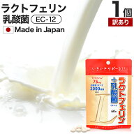【訳あり】 ラクトフェリン＋乳酸菌 60粒 約15〜30日分 賞味期限2027年6月以降 送料無料 メール便 | ラク…