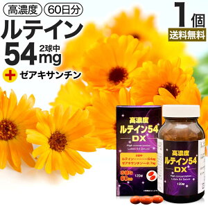 ZxeC54DX 120 60  z | eC [ALT` }[S[h JemCh ΉF Tv Tvg JvZ  ^ubg j 