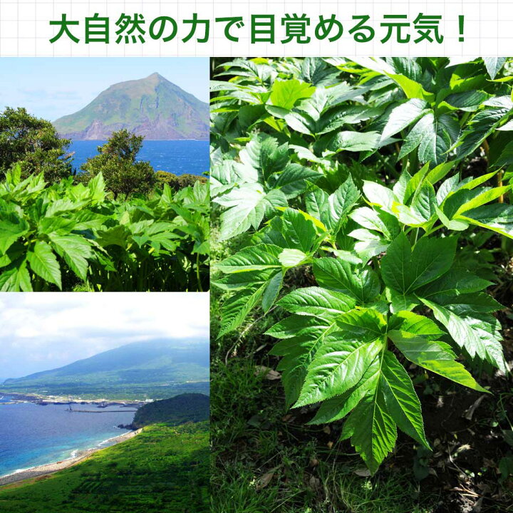 まるごと明日葉青汁 3g×30包×12個セット 約180〜360日分 送料無料 宅配便 青汁 国産 あおじる 丸ごと明日葉青汁 あしたば青汁 まるごとあしたば 国産青汁 明日葉 根 あしたば 100% ドリンク ダイエット 分包 粉末 子供 美容 こども アシタバ 顆粒 パウダー ... 明日葉茶 大 3グラム17包み入り 純粋 4袋分