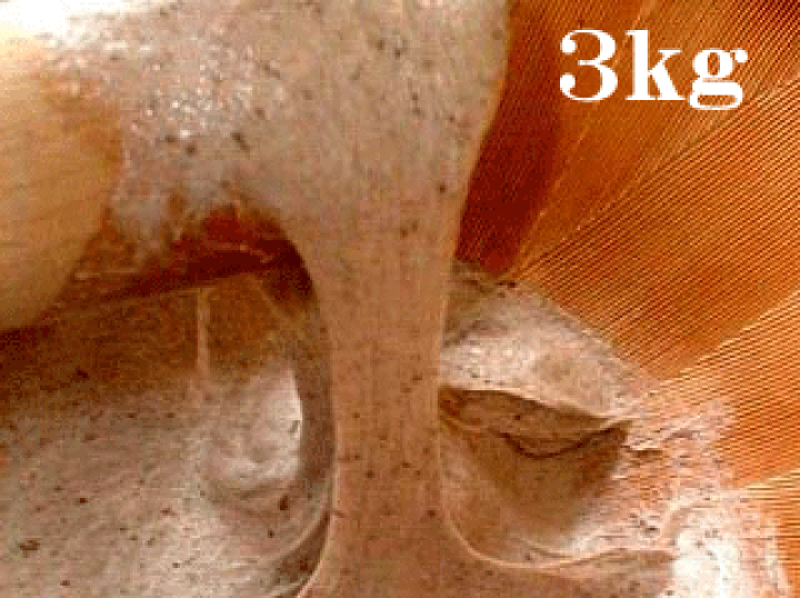 掘り立て　自然薯　無農薬　3キロ 楽天市場】天然の自然薯3kg : 有機家