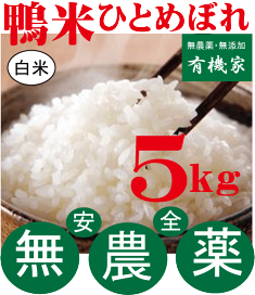 楽天市場】 米米市場 > 無農薬栽培玄米 : 有機家