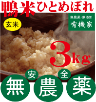 楽天市場】真粒米1／25 3kgの通販