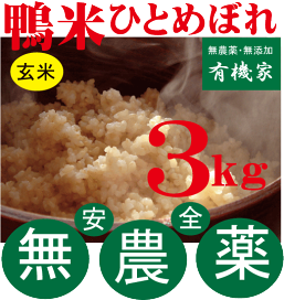 ⭐️まーちゃん⭐️６年✳️農薬不使用 有機 光選別 特Ａハツシモ玄米10キロ 無農薬 コシヒカリ 10kg 令和6年産 玄米 農薬不使用 100％有機