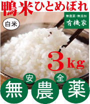 楽天市場】完全無農薬 米の通販