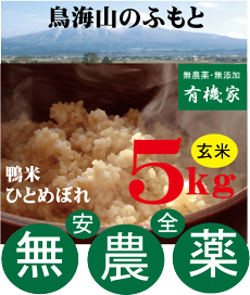 ⭐️まーちゃん⭐️６年✳️農薬不使用 有機 光選別 特Ａハツシモ玄米10キロ ⭐️ えいか様専用⭐️6年✳️農薬不使用 有機 光選別 特A
