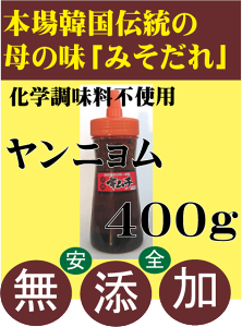 YL`\jW400g؍L`ϏB̓`L`iC[j̎聚Y L`