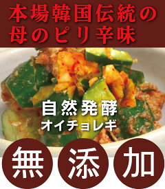 無添加オイキムチ・オイチョレギ　300g★韓国・李（イー）さんの手作り★賞味期限は冷蔵保存で約7日前後★クール冷蔵便配送★無添加 キムチ★無添加きむち★自然醗酵★砂糖不使用キムチ★浅漬けタイプ