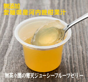 無添加 無茶々園の寒天ゼリー(ジューシーフルーツ)95g×2個 ■コンパクト便 ■無茶々園で栽培した河内晩柑果汁に、サトウキビの粗糖と寒天、こんにゃく粉を加えて作った寒天ゼリー