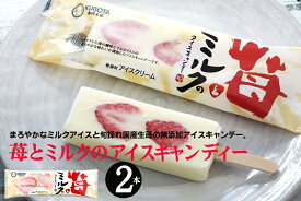 無添加 苺とミルクのアイスキャンディー2本・クール冷凍便・北海道産牛乳のまろやかなミルクアイスと旬採れ国産生苺のプレミアムアイスキャンデー。