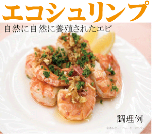シュリンプ ブラックタイガー」の人気商品一覧・価格比較 - 価格.com