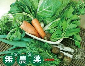 無農薬100％・旬の新鮮野菜セット（約7品目）（送料無料・月、金曜日発送）★有機家の長年の人気野菜セット★卵同梱セットや牛乳同梱セットも有ります。