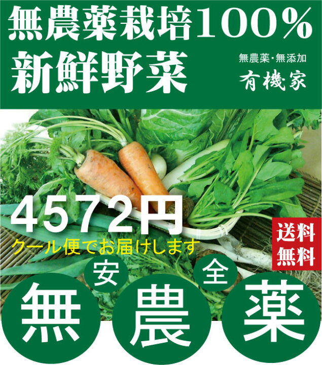 楽天市場 旬の無農薬100 野菜セット4572円クール便 送料無料 月 金曜日発送 有機家の長年の人気野菜セット 卵同梱セットや牛乳同梱セットも有ります 有機家