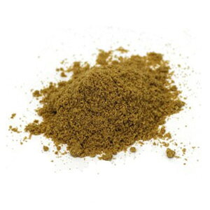 RA_[pE_[_͔|@QAIF؁i_EYjRA_[pE_[iƖpj500gE1łB