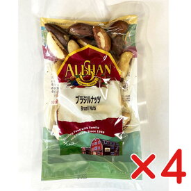 無添加ブラジルナッツ 100g ×4個　★無農薬・無添加（自然栽培）ペール産★ネコポス便