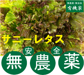 楽天市場 無農薬サニーレタスの通販 楽天市場 無農薬サニーレタスの通販
