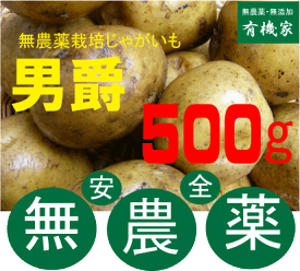 楽天市場 じゃがいも 種芋の通販