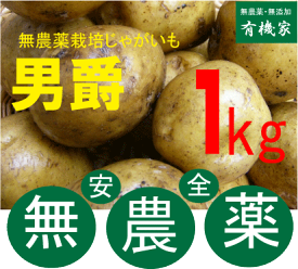 楽天市場 じゃがいも 種芋 1kgの通販