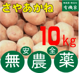 楽天市場 男爵 種芋の通販