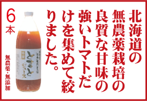 L@Ƃ̖_ig}gW[X@ikCng}gj100%ri1000ml×6{jHY_EYXg[g^CvYg}gW[XMtg]