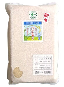 V 2025NY ̉̃RVqJuv5kg 11{\聚L@JASi_EYjJrh~