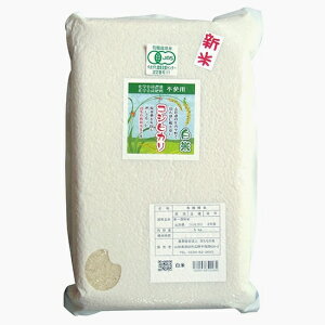 V 2025NY ̉̃RVqJ@yāz5kg 11{\聚L@JASi_EYjJrh~