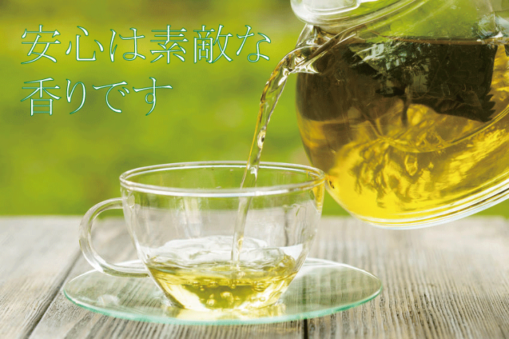 楽天市場】有機ジャスミン茶(ペットボトル) 500ml☆有機JAS（無