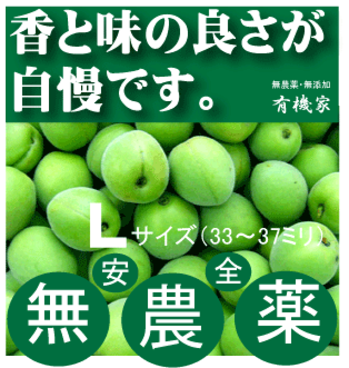 楽天市場】無農薬青梅１ｋｇ梅酒用（王隠堂）○Ｌサイズ・約33ミリから