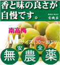 無農薬南高梅1kg●Mサイズ30〜33ミリ★予約受付開始6月中旬頃発送　★奈良県産・三重県産★有機JAS（無農薬・無添加）★クール便配送★国内産100％ ランキングお取り寄せ