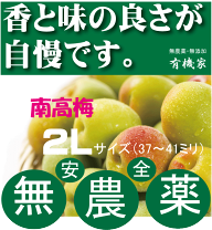 楽天市場】青梅 無農薬の通販