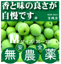 サービス品・無農薬青梅1kg●Mサイズ・約30ミリから33ミリ★色付き有り★奈良県産・三重県産★有機JAS（無農薬・無添加）★クール便配送★国内産100％ ランキングお取り寄せ