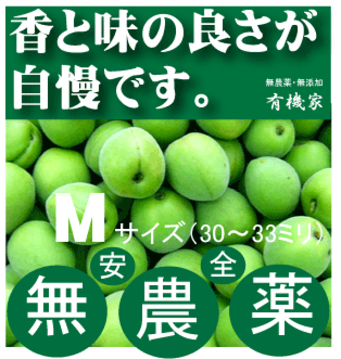 楽天市場】無農薬青梅1kg梅酒用（王隠堂）○Mサイズ☆色付き有り