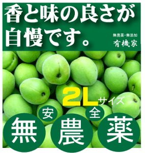 ���_��~1kg�~��p�i���B���j��2L�T�C�Y���\���t�J�n6��5�����������ޗǌ��Y�E�O�d���Y���L�@JAS�i���_��E���Y���j���N�[���֔z���������Y100�����q���E�i�X�̗��j�̊Q����B��������