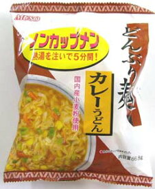 お得な箱買い送料無料　どんぶり麺・カレーうどん　86．8g・箱 [24袋入り]