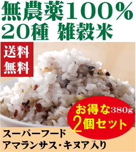 _GāE20380g2ZbgilR|Xցj_100w엿E`qg݊ȂYEFEۑgpȂ