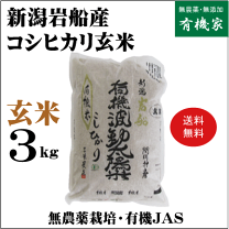 楽天市場】岩船産 コシヒカリ 玄米の通販 楽天市場】岩船産 コシヒカリ 玄米の通販