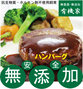 SȐno[O100g×2i200gj_t@[̋ؓYikCWÎYjREzܕsgpN[Ⓚ֔zsgpؓE