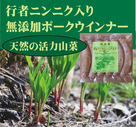 安全無添加ウインナー■行者にんにく入りウインナーソーセージ25g×6本★国産（北海道標津産）★抗生物質・ホルモン剤不使用★結着剤不使用★無添加ウインナー★興農ファーム★クール冷凍便配送★薬不使用豚肉