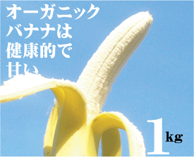 オーガニックバナナ1kg（エクアドル・フィリッピン・ペルー・メキシコ産）★1kgは5〜10本くらいです。★夏季クール便冷蔵配送★オーガニックバナナ