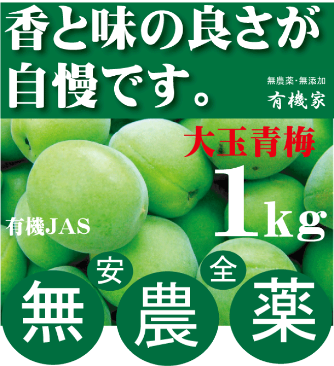 青梅　2L3L 無農薬　10kg 青梅 南高梅 無農薬 10Kgのお取り寄せ販売（通販）送料無料でお届け