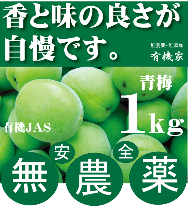 青梅7kg【農薬不使用】 C_0271fdb0-0ef4-44f7-890c-