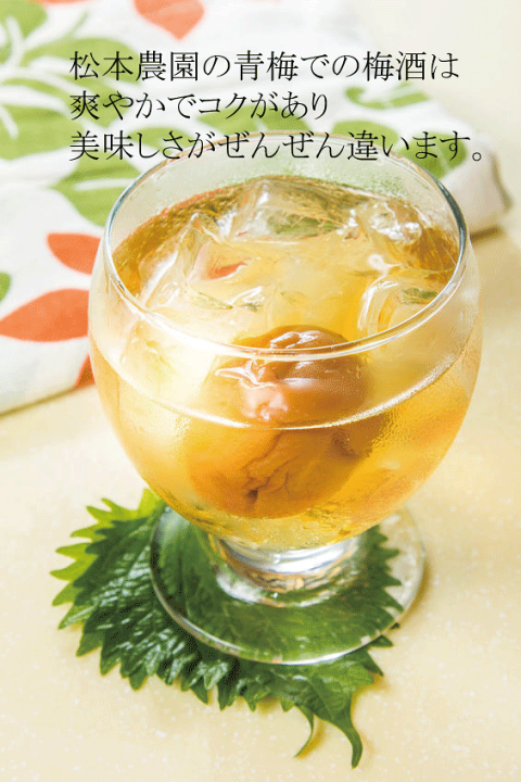 楽天市場】無農薬青梅大玉1kg○6月中旬発送予定☆有機JAS（無